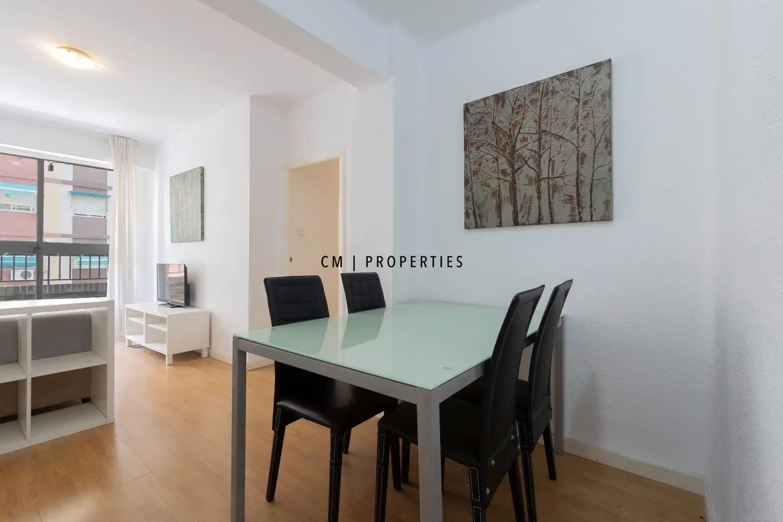Appartamento con terrazza in vendita a Rodrigo Pertegas, imagen 8