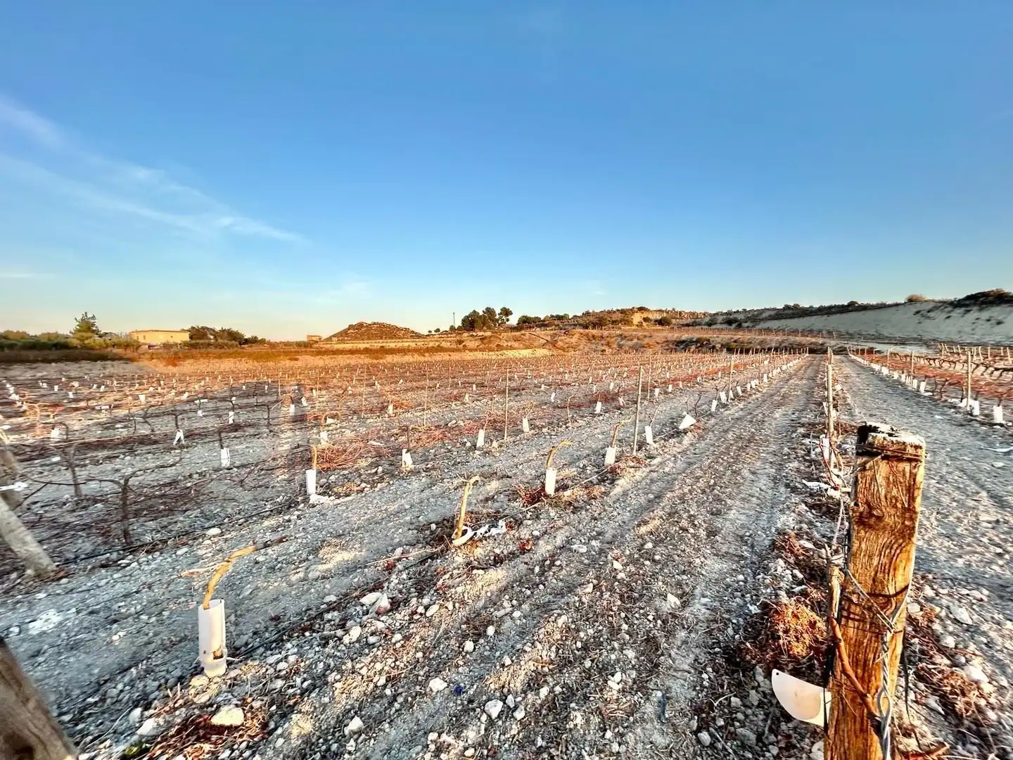 Finca rústica en venda en Novelda