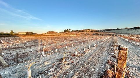 Foto 4 de Finca rústica en venda a Novelda, Alicante