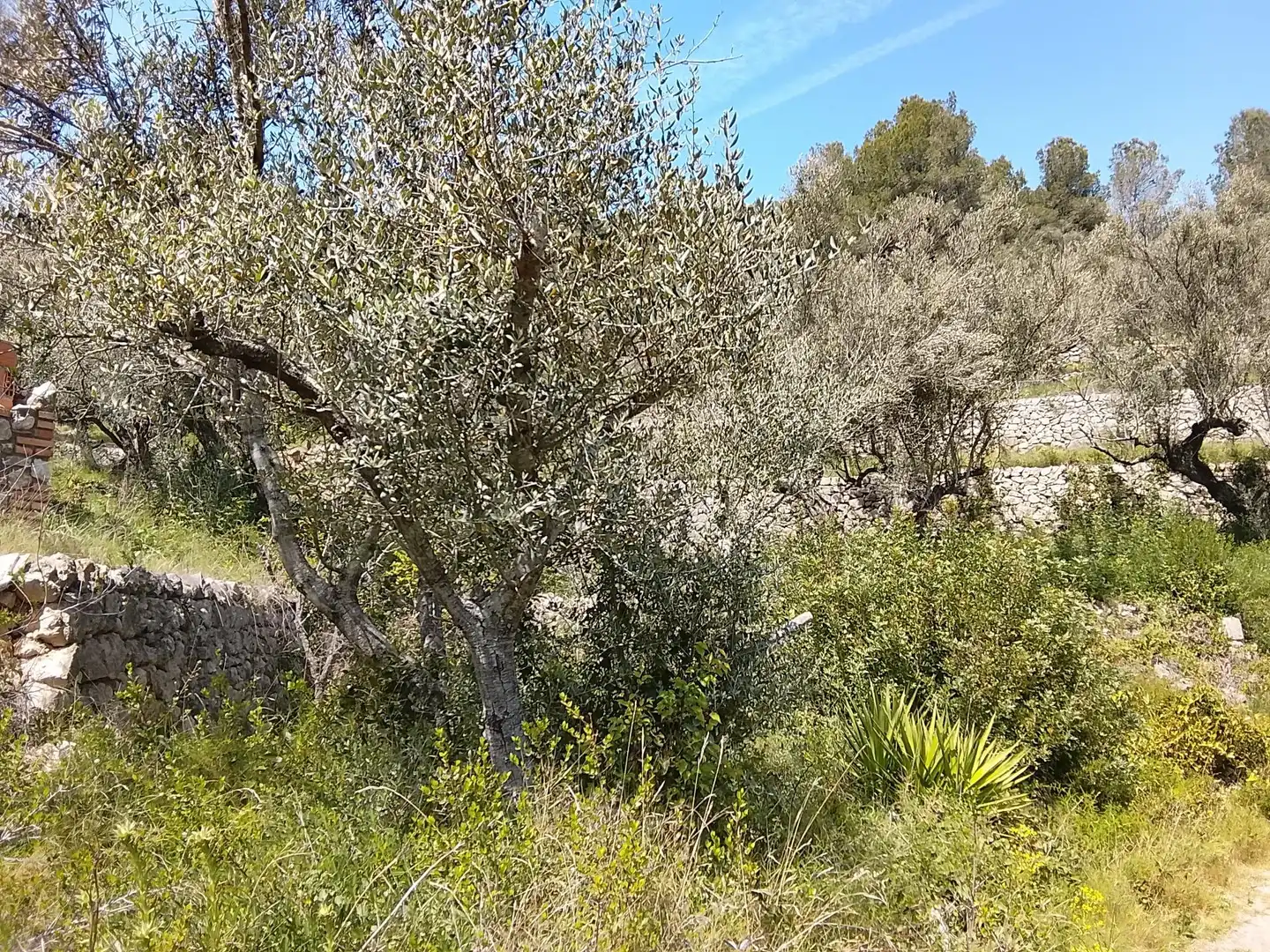 Maison rustique à vendre à Camí de la Finca del Governador, imagen 9