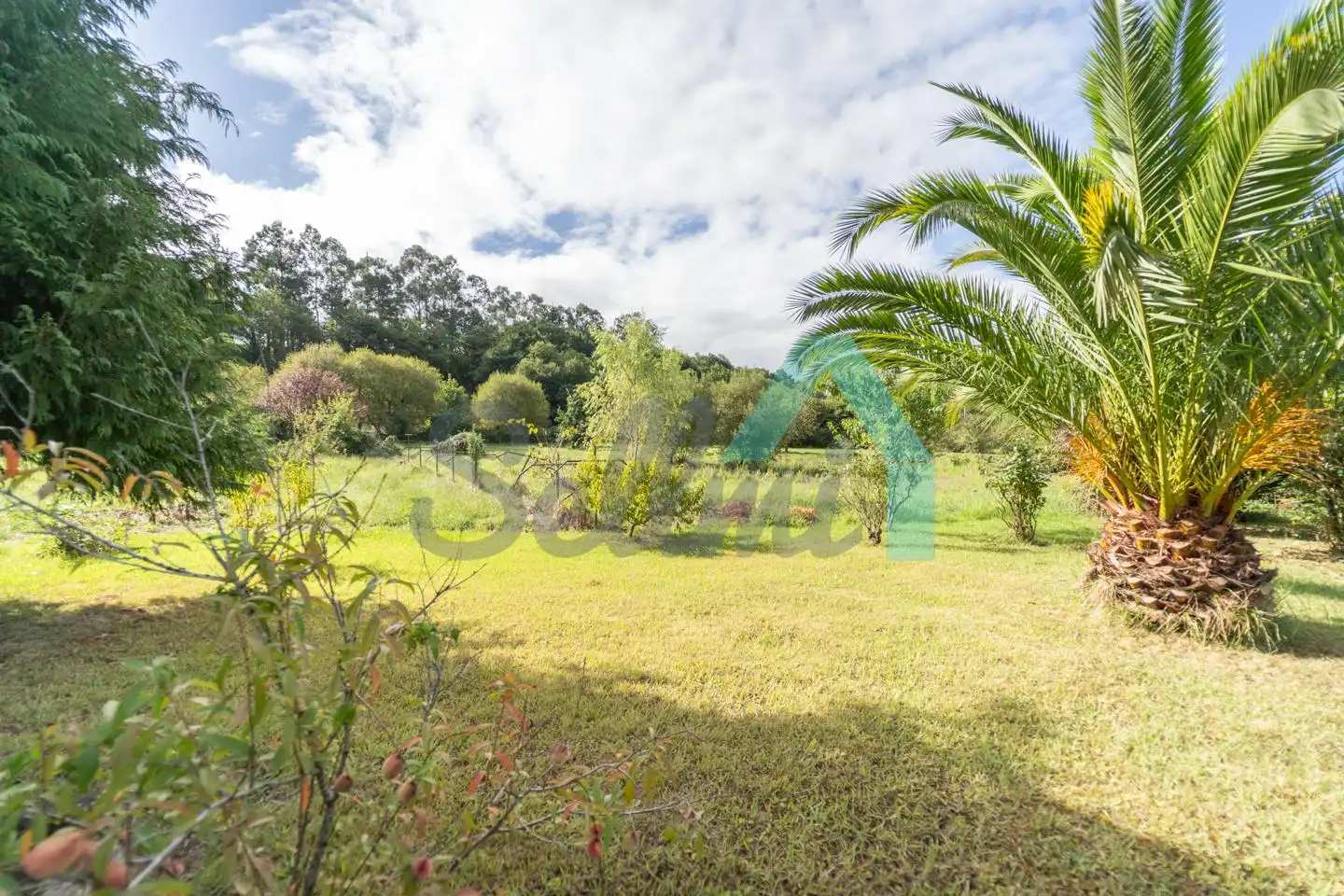 Jardín de Casa o chalet en venta en Grado con Calefacción, Jardín privado y Parquet