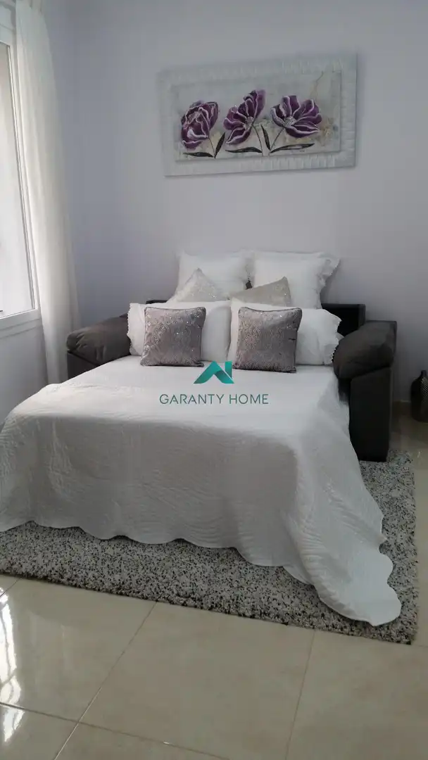 Appartement avec terrasse à louer à Casco Antiguo, imagen 10