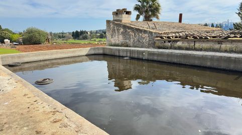 Foto 4 de Finca rústica en venta en Polígono Biniaco, Muro, Illes Balears