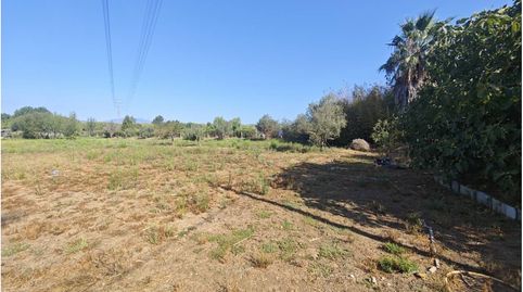 Foto 5 de Terreny en venda a Calle Mas Pons, Mas Florit - Ca la Guidó, Blanes