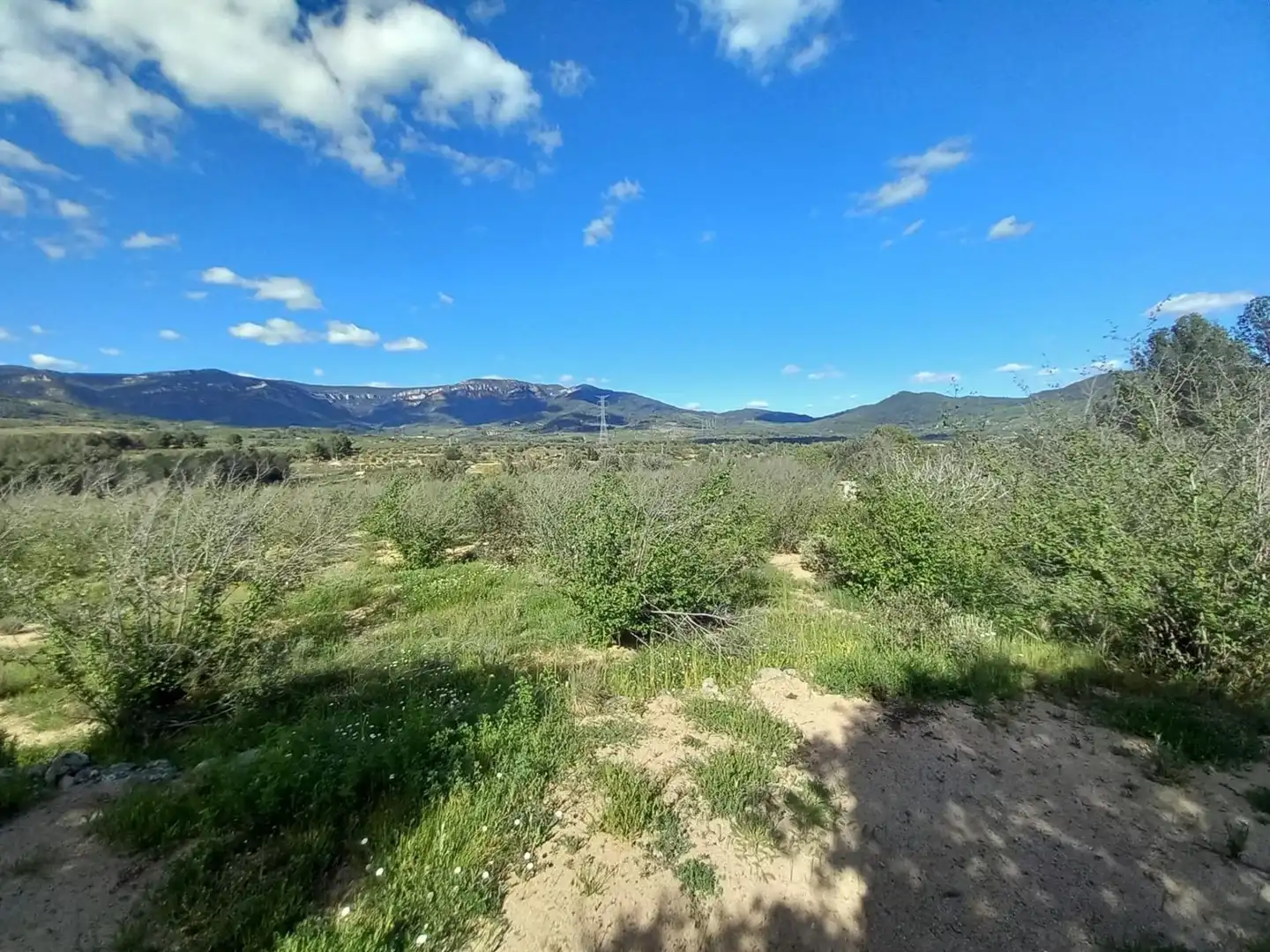 Terreny residencial en venda a T-704, imagen 15