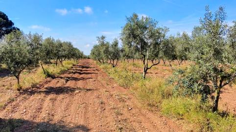 Foto 2 de Terreno en venta en Arrabal Plan Parcial 3, 9, El Pla de Santa Maria, Tarragona