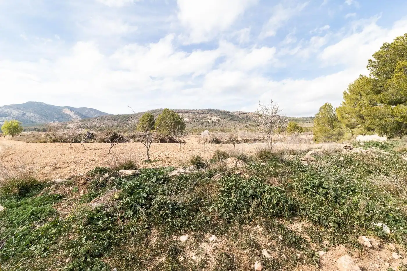 Casa en venda a Mula, imagen 4