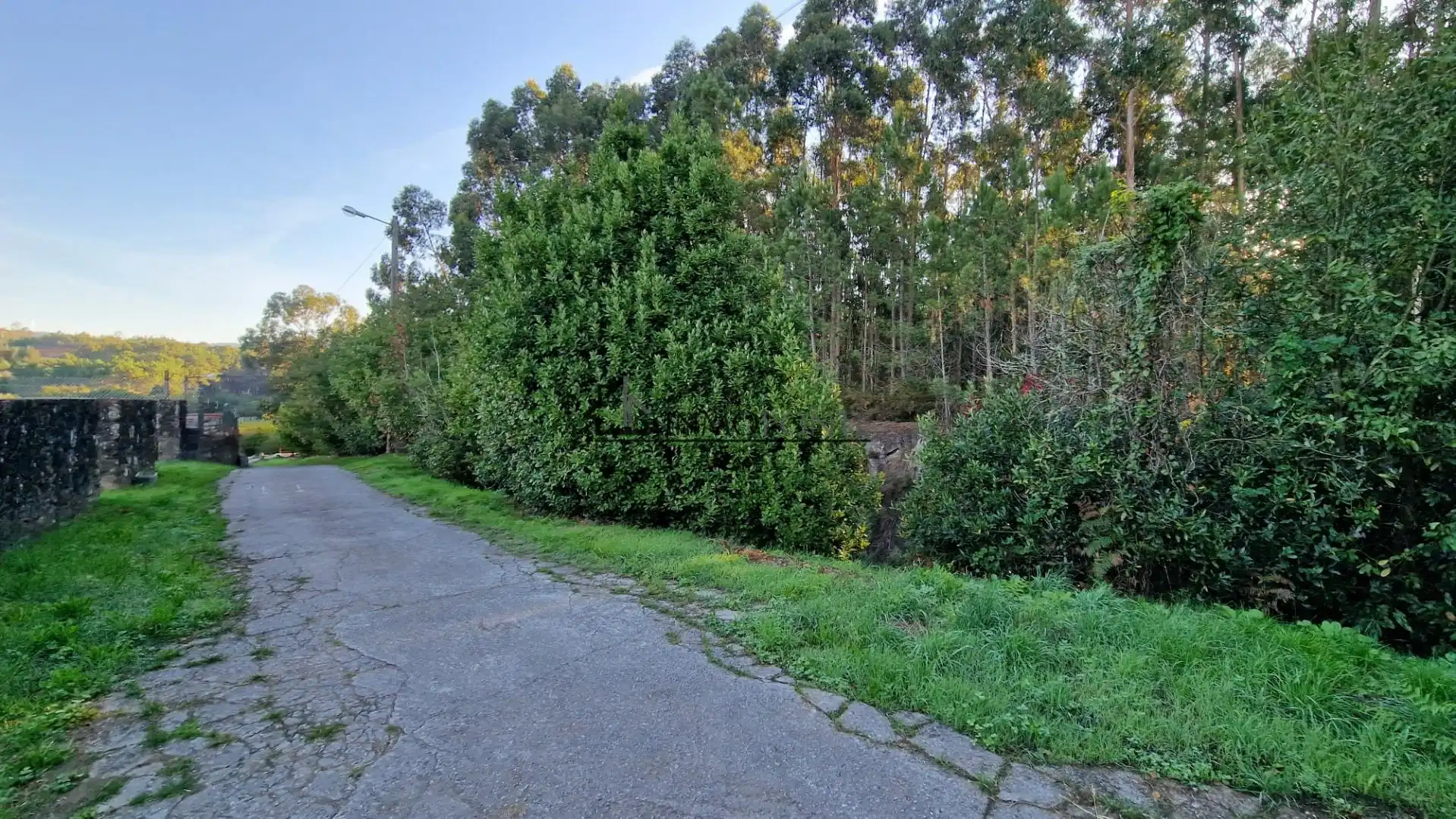 Exterior view of Houses for sale in Vilagarcía de Arousa  with Private garden