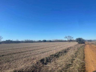 Terrenos y solares en venta en Chozas de Abajo