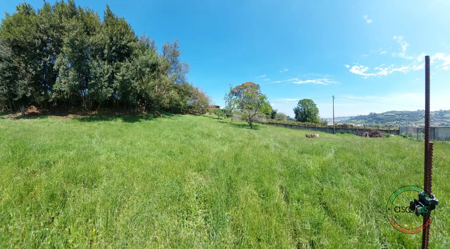 Terreno rustico in vendita a Gijón - Camin de la Cantera