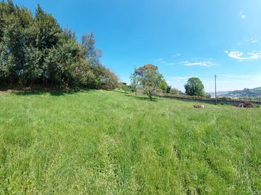 Terreno rustico in vendita a Gijón - Camin de la Cantera