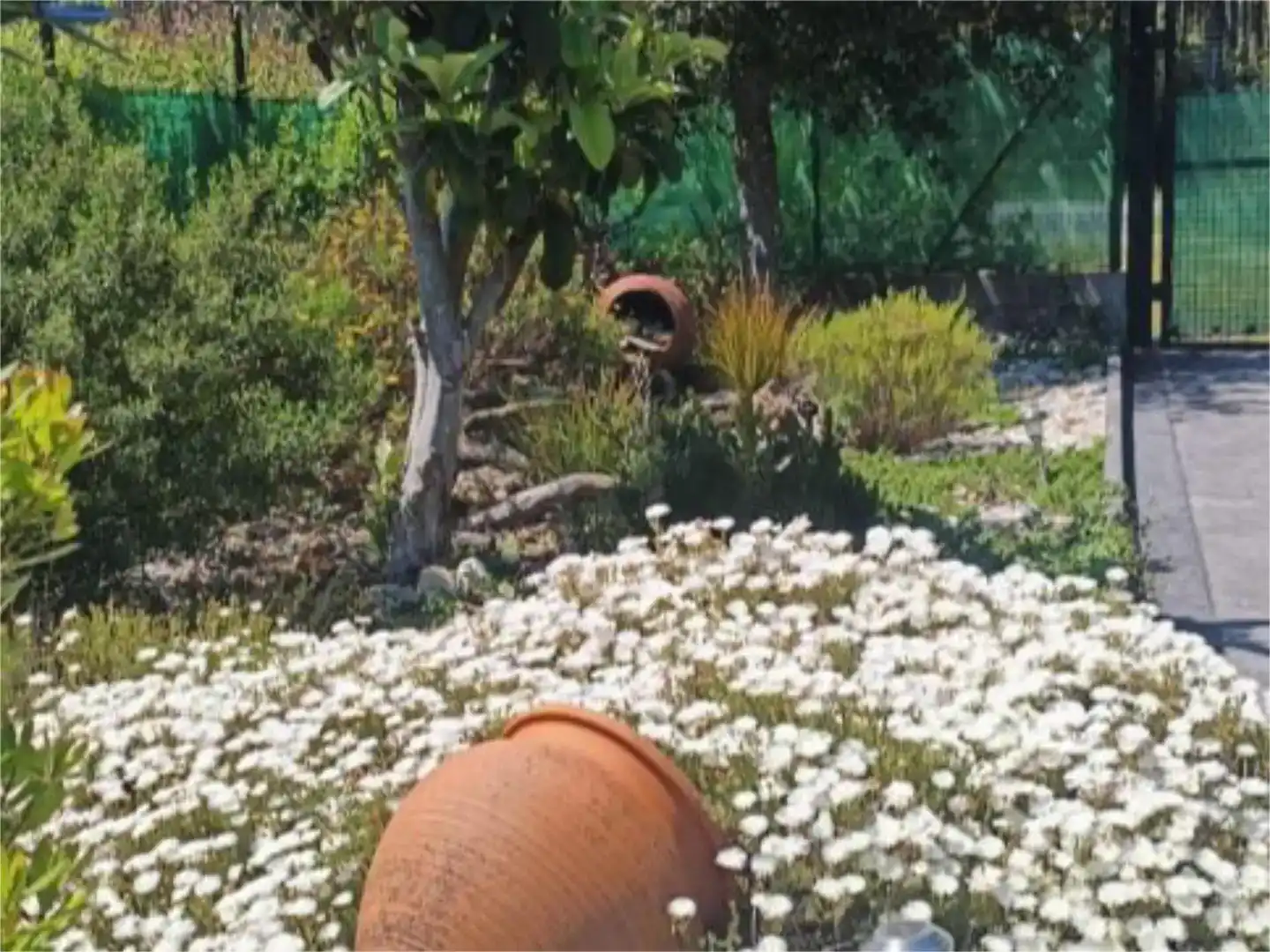 Jardí de Finca rústica en venda en San Sadurniño amb Jardí privat
