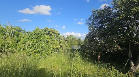 Foto 3 de Residencial en venda a Son Roca, Palma de Mallorca