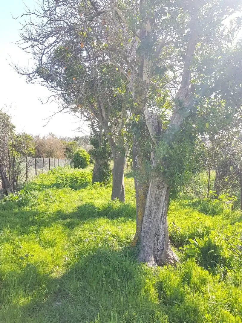 Terreno en venta en Barbate