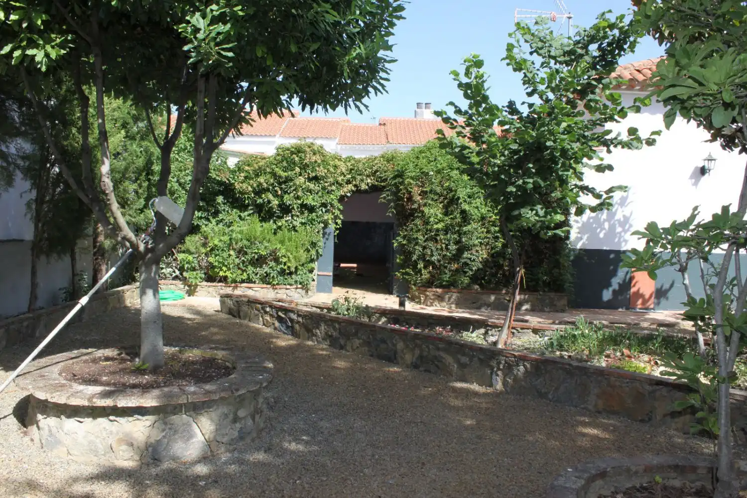 Jardí de Casa o xalet en venda en Los Marines