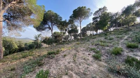 Foto 3 de Terreno en venta en Avenida Sant Daniel, Mas Mora - Sant Daniel, Tordera
