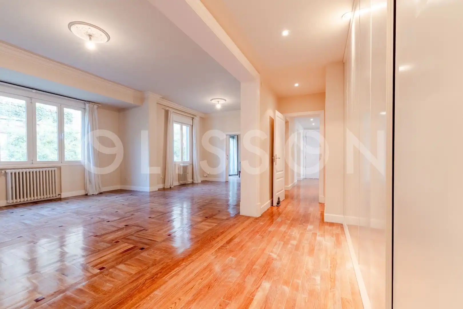 Sala d'estar de Pis en venda en Barrio de Salamanca