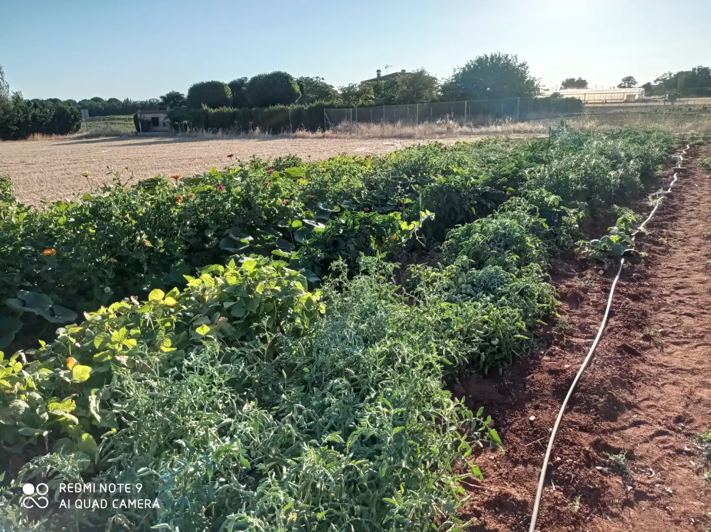 Jardín de Terreno en venta en Ciudad Real