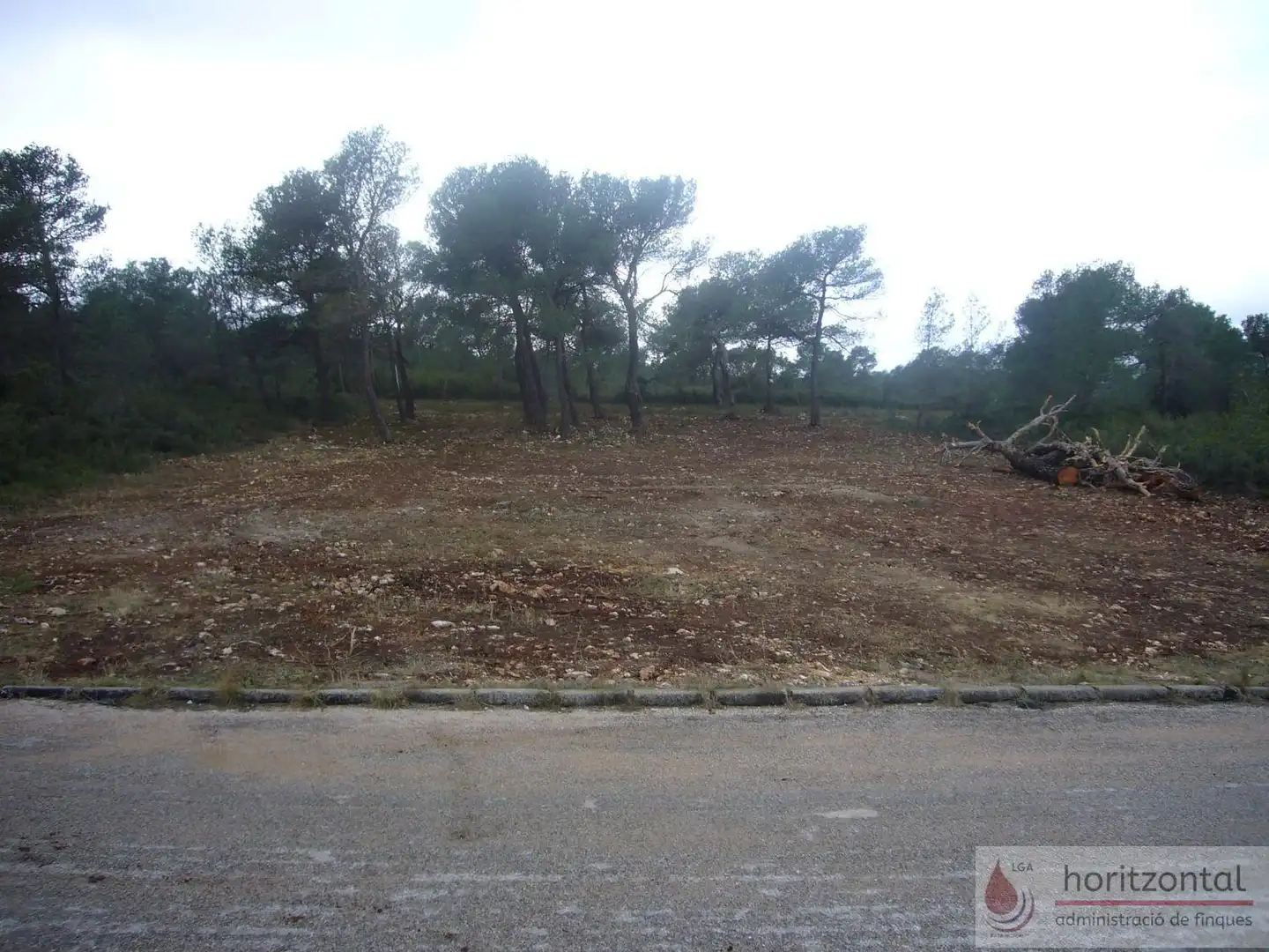 Terreni e lotti in vendita a Sant Pau 343, imagen 3