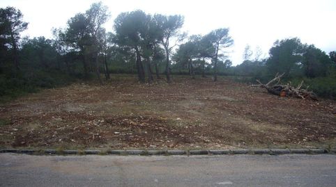 QuerolTerreno, immagine 3