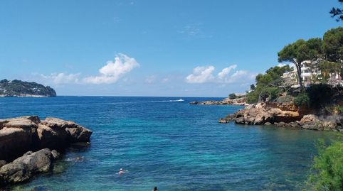 Foto 5 de Apartamento en venta en Costa de la Calma, Calvià