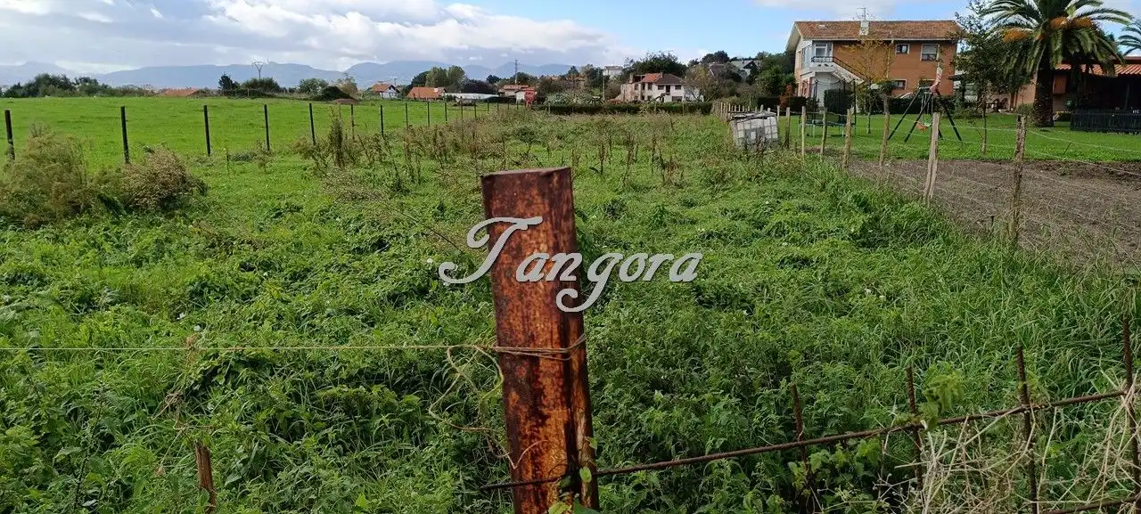 Rustikales Grundstück zum Verkauf in Santa María de Getxo, imagen 2