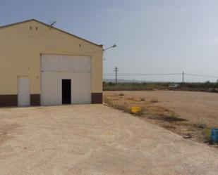 Industrial buildings to rent in Fuente Álamo de Murcia