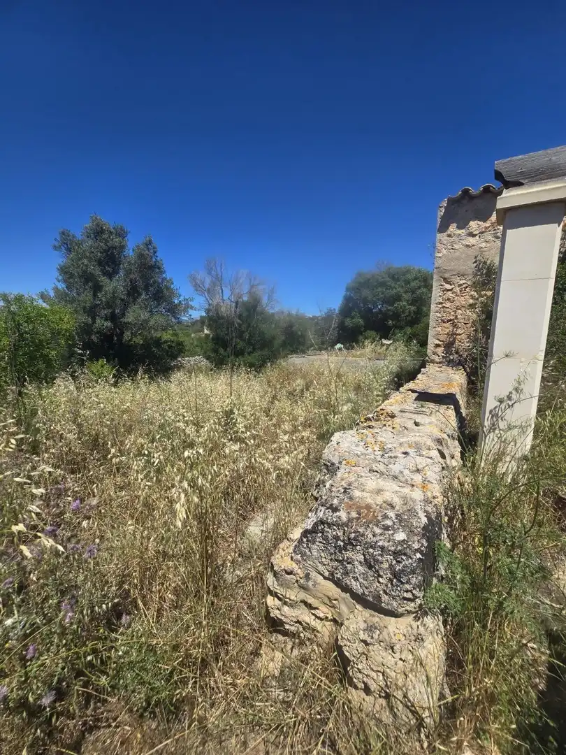 Finca rústica en venta en Marratxí con Terraza