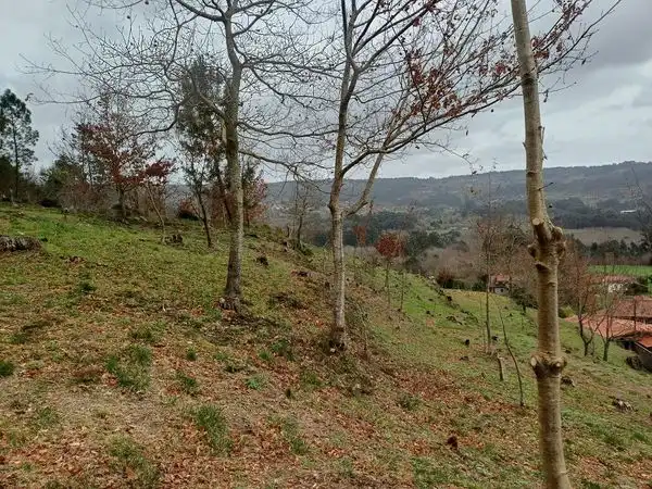 Terreno residenziale in vendita a Rua Pintelos, imagen 20