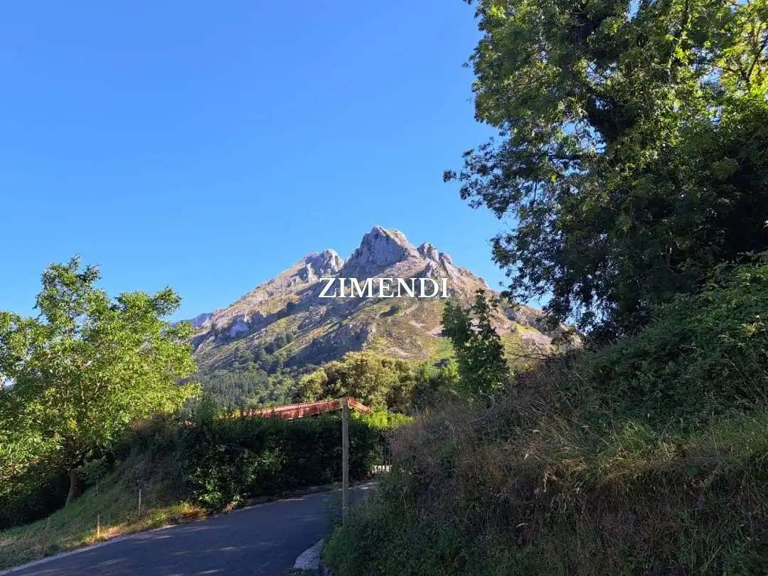 Finca rústica en venta en Abadiño 