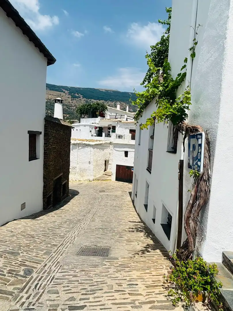 Vista exterior de Finca rústica en venta en Capileira