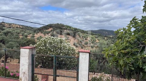 FINCA RUSTICA CON CASA