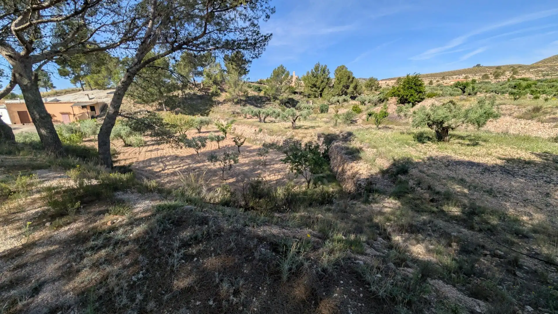 Casa con jardín en venta en Hondón de las Nieves / El Fondó de les Neus, imagen 79