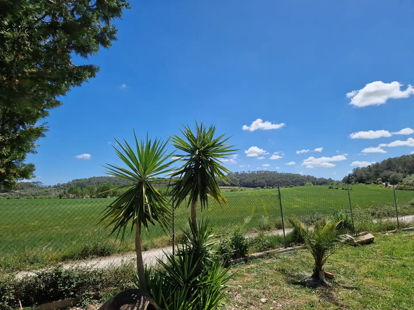 Terrain rustique à vendre à Vial Camino 475, imagen 13
