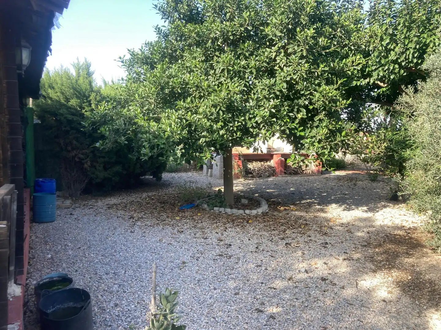 Terreny rústic en venda a Dolores, imagen 4