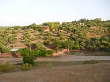 Residential land for sale in Almodóvar del Río, imagen 12