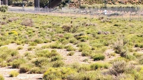 Foto 3 de Terreno en venta en Las Virtudes, Villena