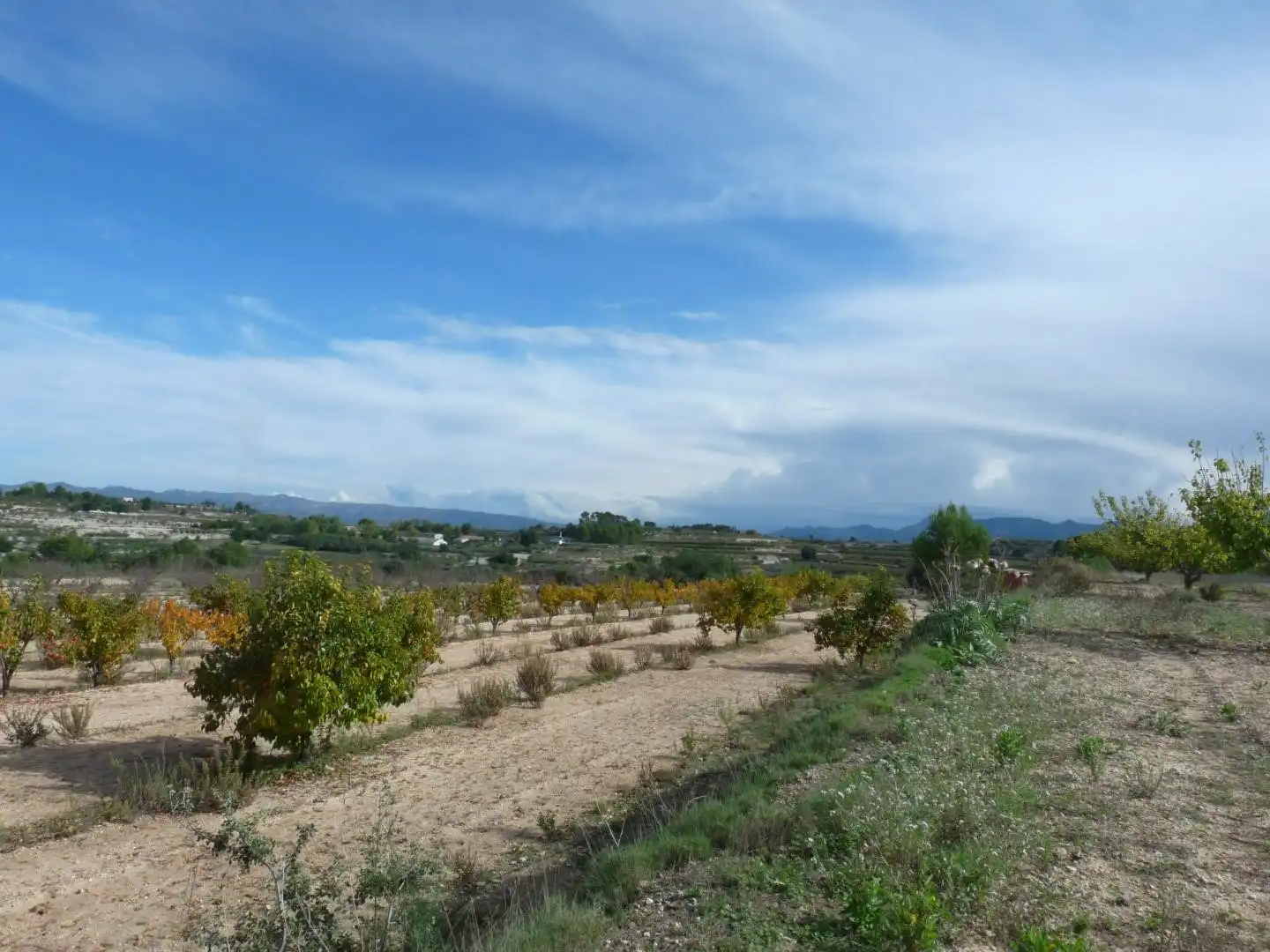 Country house zum Verkauf in Albaida mit Privatgarten und Terrasse