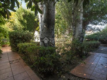 Casa con jardín en venta en C. Almajara