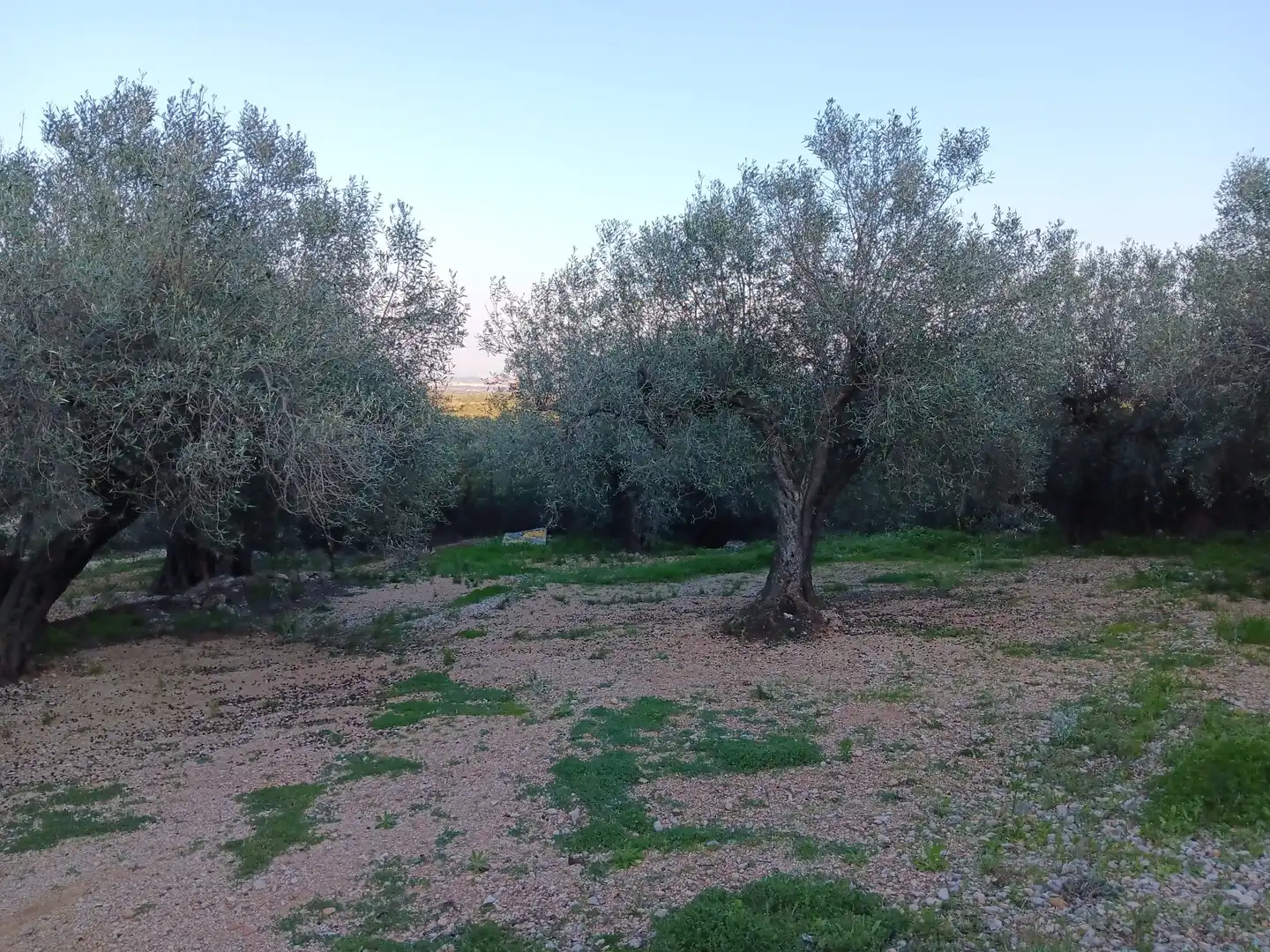 Terrenys i solars en venda a Ferreries, imagen 10