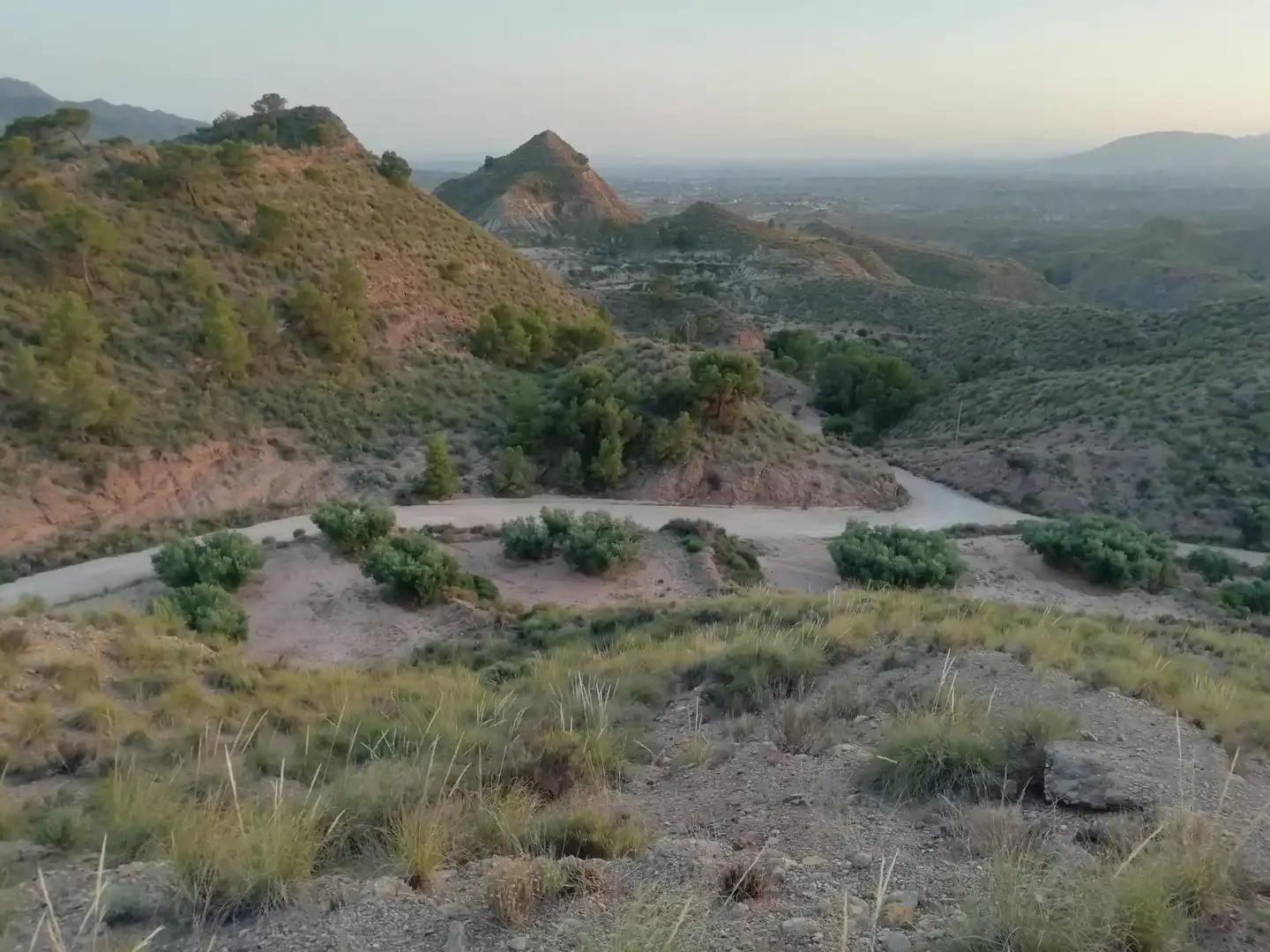 Vista exterior de Finca rústica en venta en Abanilla