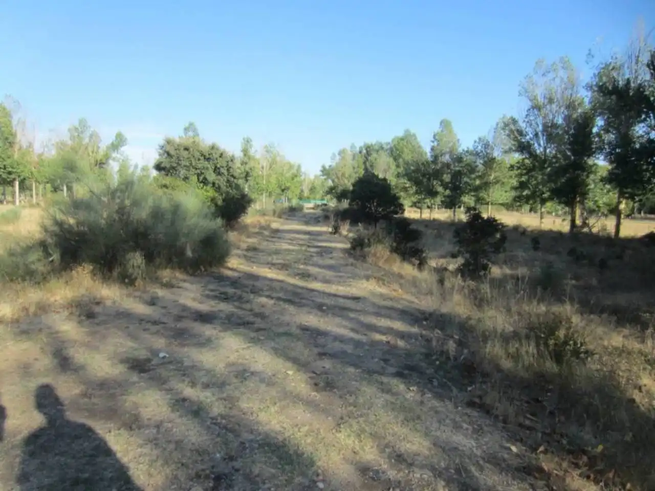 Terreno residencial en venta en Poligono 14, imagen 2