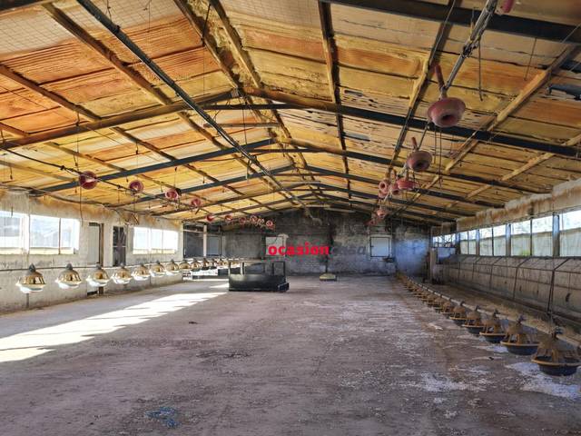 Finca rústica en Venta en Dos Torres