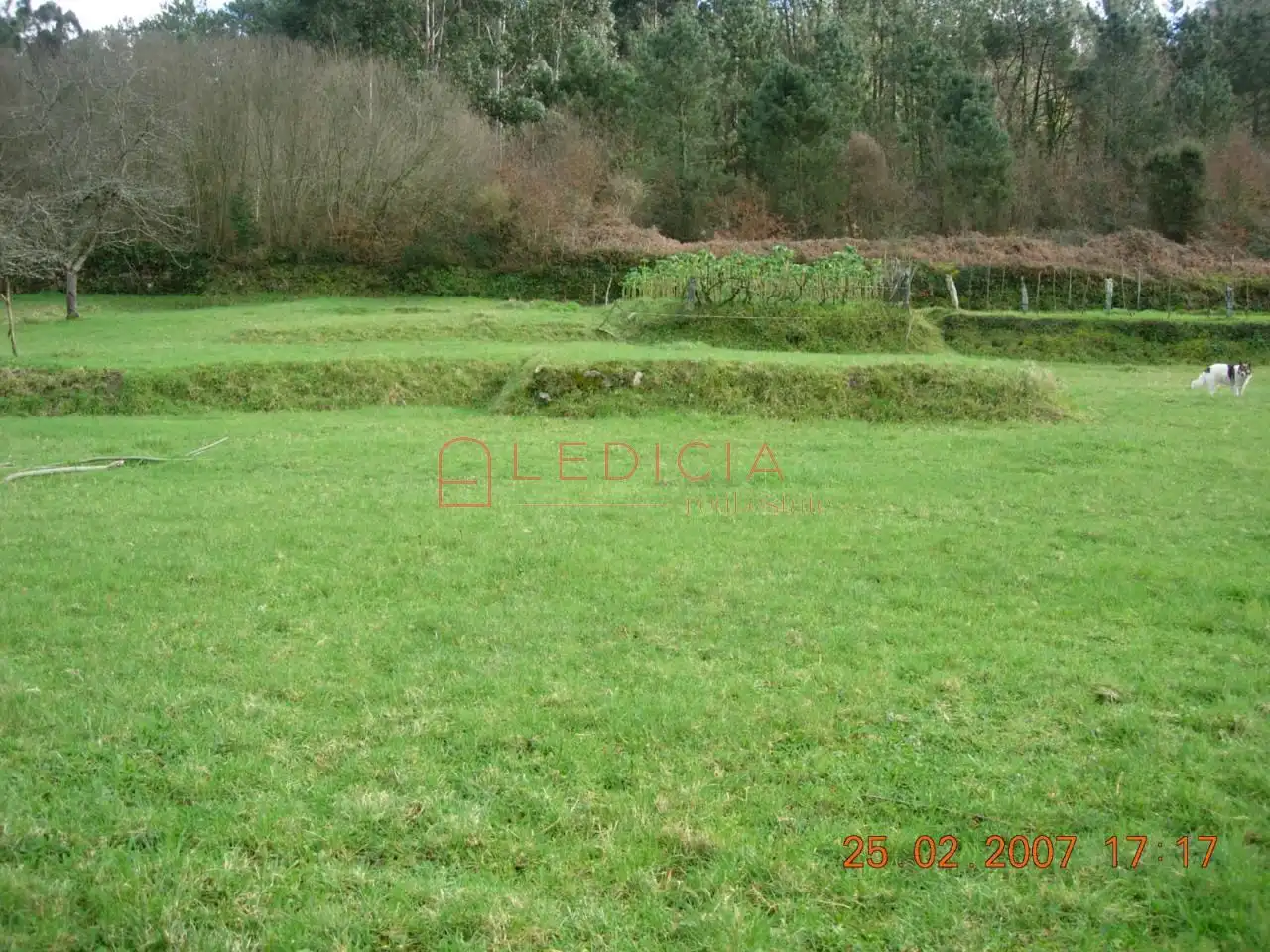 Residencial en venta en Crecente