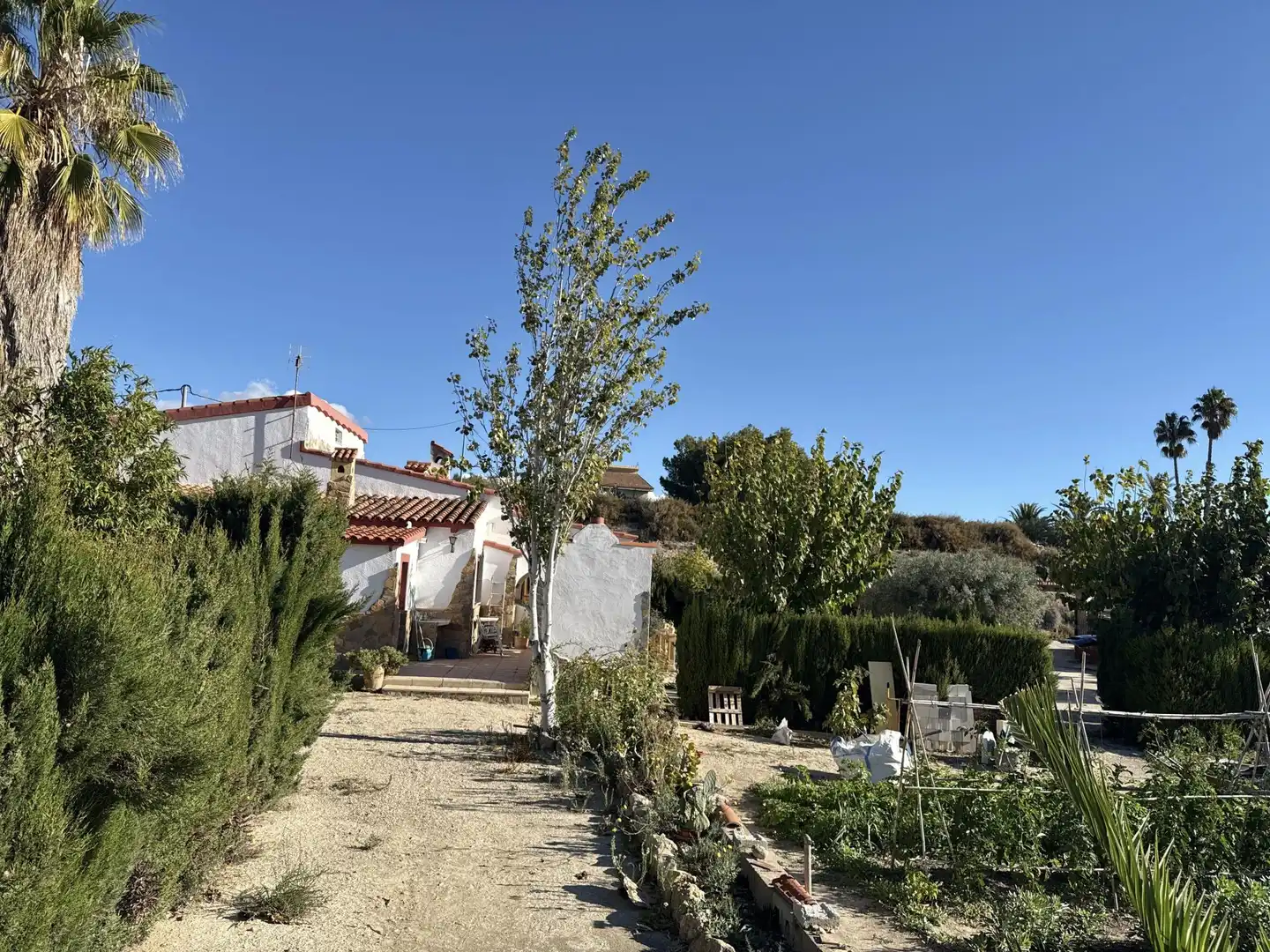 Jardín de Casa o chalet en venta en Novelda con Calefacción, Terraza y Piscina