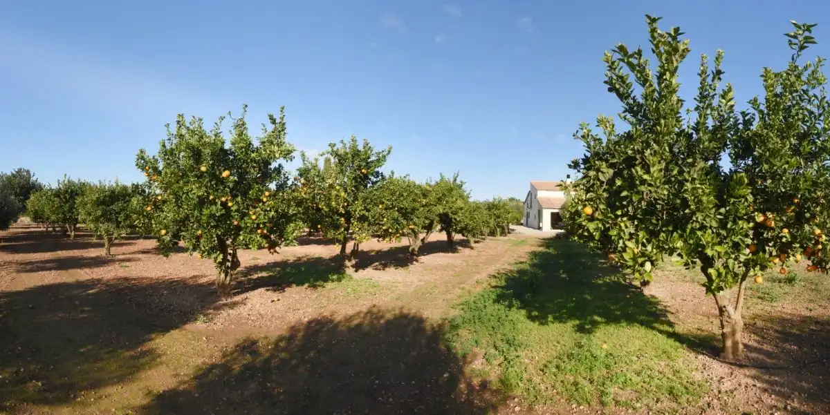 Finca rústica en venda en Roda de Berà amb Aire condicionat, Calefacció i Jardí privat