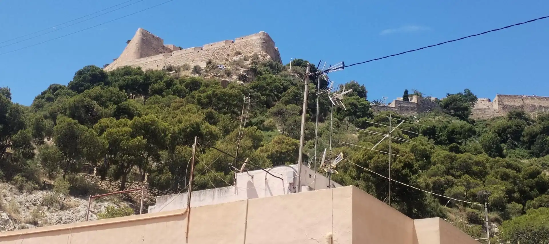 Exterior view of Buildings for sale in Alicante / Alacant