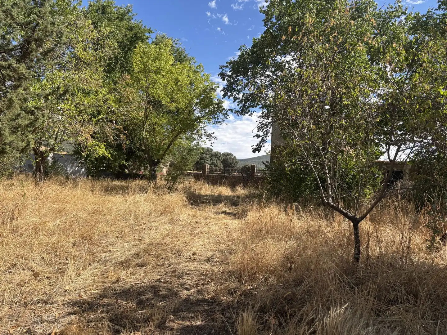 Country homes for sale in Orgaz