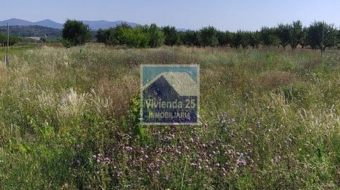 Immagine 2 dell'annuncio