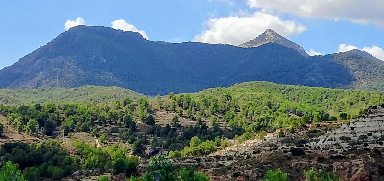 Terreno rustico in vendita a Lugar Castillo